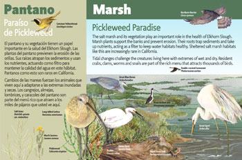 marsh panel