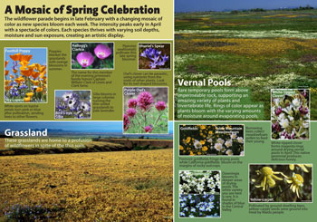 spring celebration panel