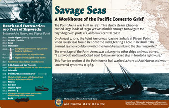savage seas panel