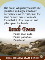 beach foam panel
