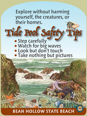 tide pool safety tips panel