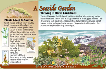 seaside garden panel
