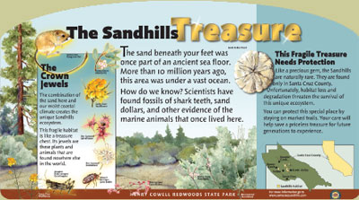 sandhills treasure panel