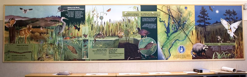 Nature Center at Shorebirds, Panel 2