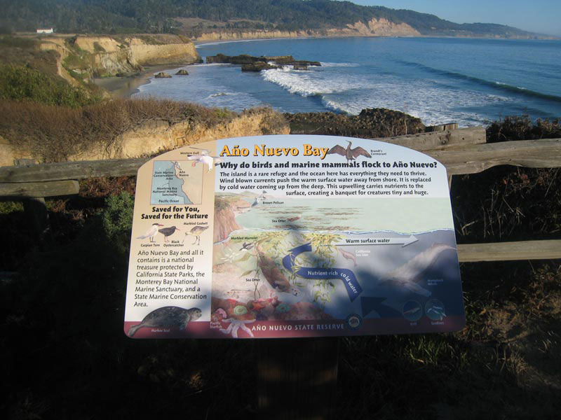 Año Nuevo State Reserve, Installed Bay Panel