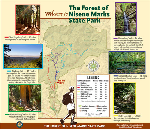 Nisene Marks State Park